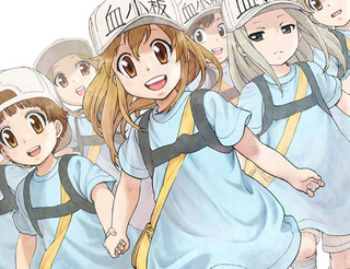 搜索岩清水山葵